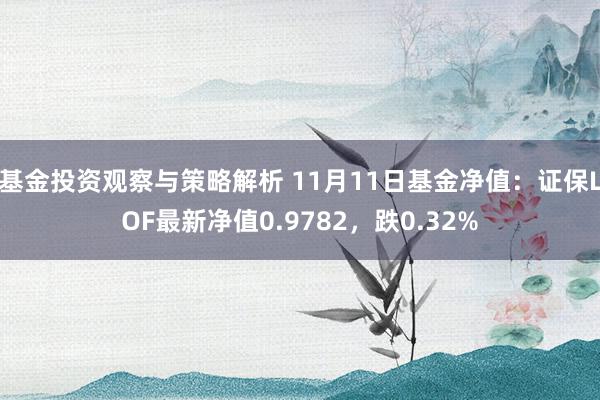 基金投资观察与策略解析 11月11日基金净值：证保LOF最新净值0.9782，跌0.32%