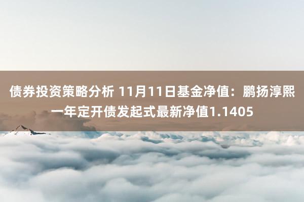 债券投资策略分析 11月11日基金净值：鹏扬淳熙一年定开债发起式最新净值1.1405