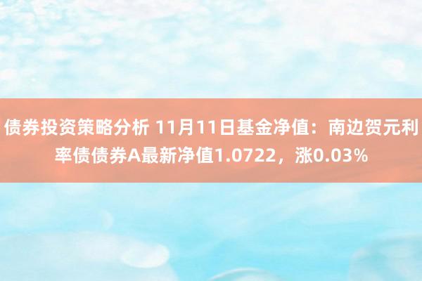 债券投资策略分析 11月11日基金净值：南边贺元利率债债券A最新净值1.0722，涨0.03%