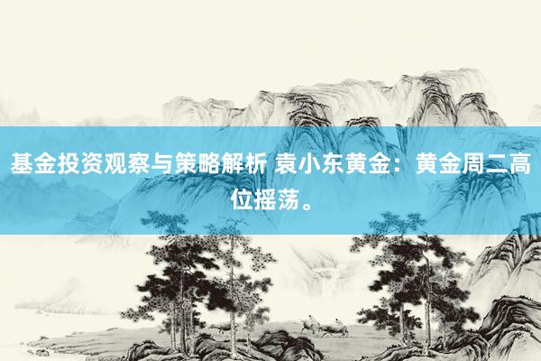 基金投资观察与策略解析 袁小东黄金：黄金周二高位摇荡。