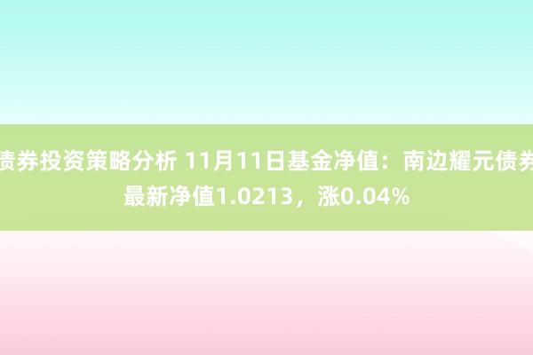 债券投资策略分析 11月11日基金净值：南边耀元债券最新净值1.0213，涨0.04%