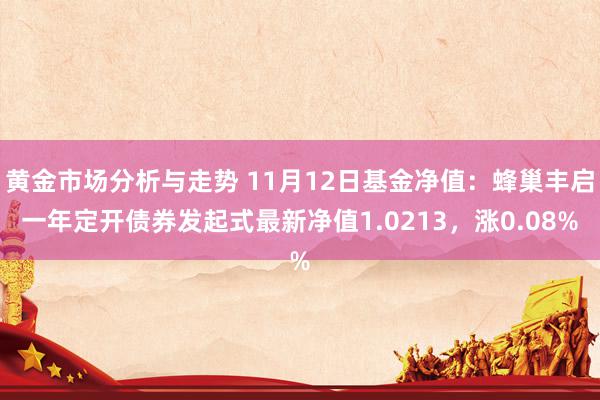 黄金市场分析与走势 11月12日基金净值：蜂巢丰启一年定开债券发起式最新净值1.0213，涨0.08%