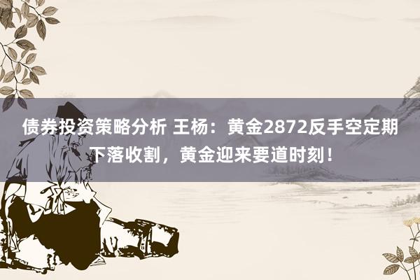 债券投资策略分析 王杨：黄金2872反手空定期下落收割，黄金迎来要道时刻！