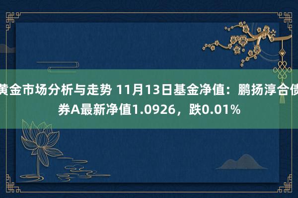 黄金市场分析与走势 11月13日基金净值：鹏扬淳合债券A最新净值1.0926，跌0.01%