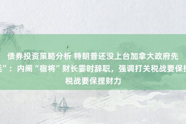 债券投资策略分析 特朗普还没上台加拿大政府先“内耗”：内阁“宿将”财长霎时辞职，强调打关税战要保捏财力