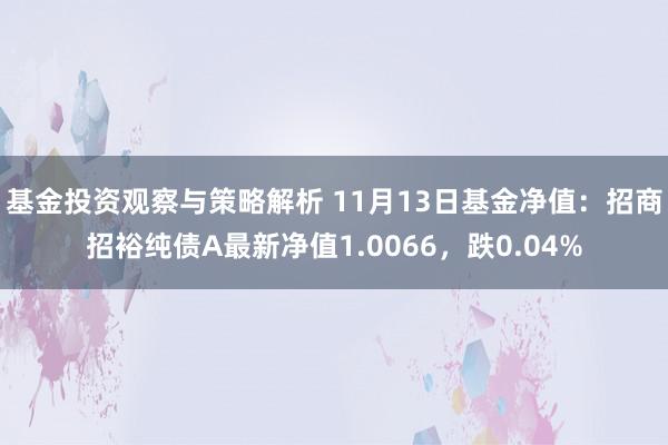 基金投资观察与策略解析 11月13日基金净值：招商招裕纯债A最新净值1.0066，跌0.04%