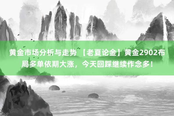 黄金市场分析与走势 【老夏论金】黄金2902布局多单依期大涨，今天回踩继续作念多！