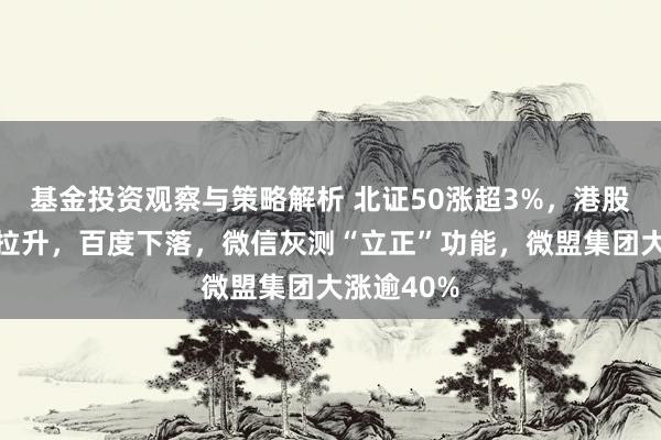 基金投资观察与策略解析 北证50涨超3%，港股腾讯午后拉升，百度下落，微信灰测“立正”功能，微盟集团大涨逾40%