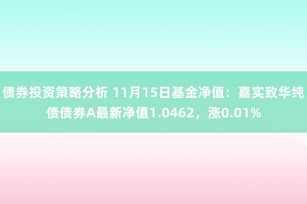 债券投资策略分析 11月15日基金净值：嘉实致华纯债债券A最新净值1.0462，涨0.01%