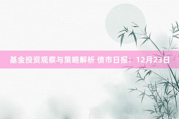 基金投资观察与策略解析 债市日报：12月23日