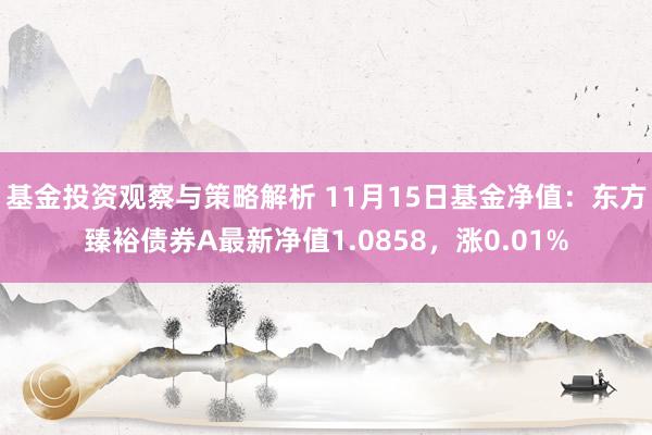 基金投资观察与策略解析 11月15日基金净值：东方臻裕债券A最新净值1.0858，涨0.01%