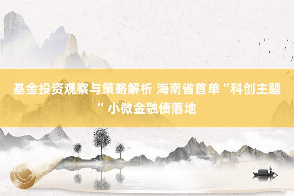 基金投资观察与策略解析 海南省首单“科创主题”小微金融债落地