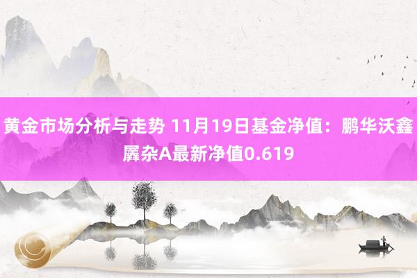 黄金市场分析与走势 11月19日基金净值：鹏华沃鑫羼杂A最新净值0.619