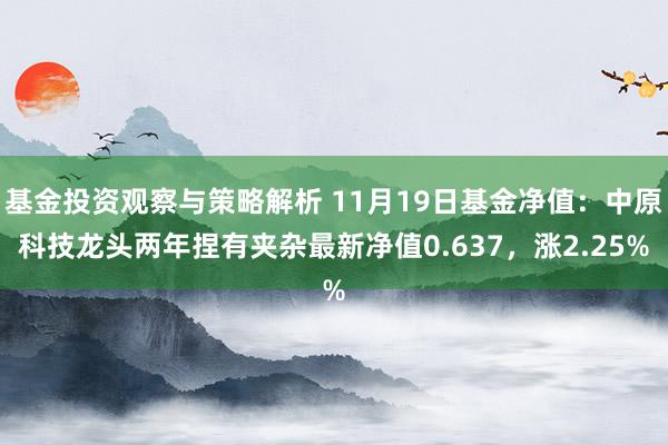 基金投资观察与策略解析 11月19日基金净值：中原科技龙头两年捏有夹杂最新净值0.637，涨2.25%