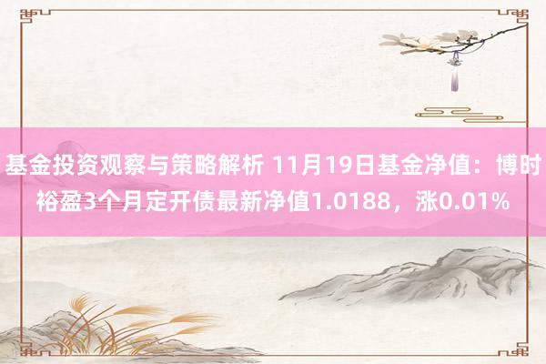 基金投资观察与策略解析 11月19日基金净值：博时裕盈3个月定开债最新净值1.0188，涨0.01%