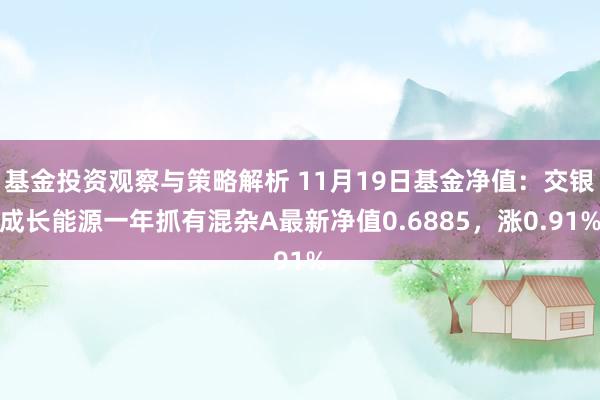 基金投资观察与策略解析 11月19日基金净值：交银成长能源一年抓有混杂A最新净值0.6885，涨0.91%