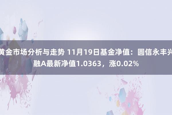 黄金市场分析与走势 11月19日基金净值：圆信永丰兴融A最新净值1.0363，涨0.02%