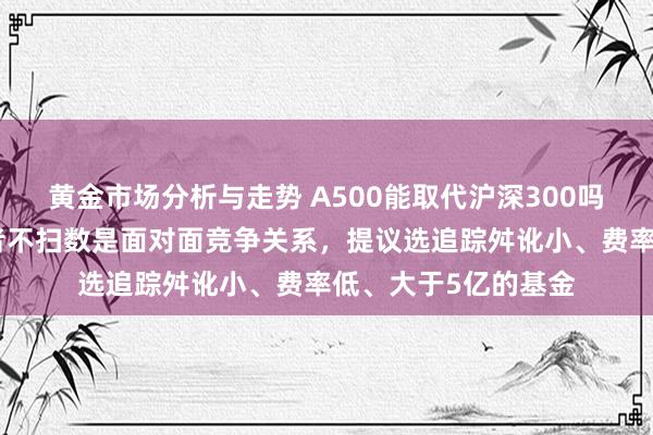 黄金市场分析与走势 A500能取代沪深300吗？晨星李一鸣：二者不扫数是面对面竞争关系，提议选追踪舛讹小、费率低、大于5亿的基金