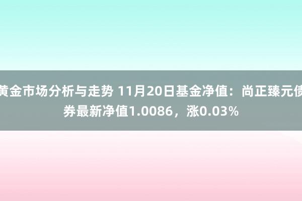 黄金市场分析与走势 11月20日基金净值：尚正臻元债券最新净值1.0086，涨0.03%