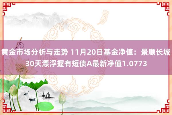 黄金市场分析与走势 11月20日基金净值：景顺长城30天漂浮握有短债A最新净值1.0773