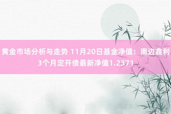 黄金市场分析与走势 11月20日基金净值：南边鑫利3个月定开债最新净值1.2371