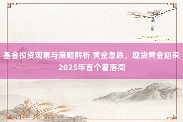 基金投资观察与策略解析 黄金急跌，现货黄金迎来2025年首个着落周