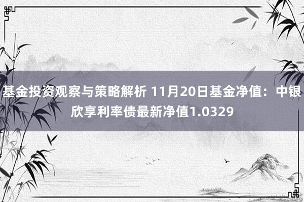 基金投资观察与策略解析 11月20日基金净值：中银欣享利率债最新净值1.0329