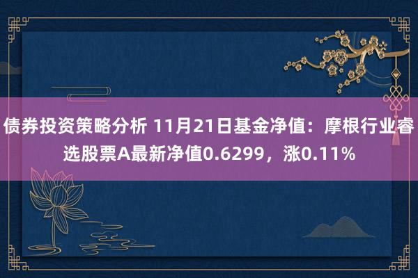 债券投资策略分析 11月21日基金净值：摩根行业睿选股票A最新净值0.6299，涨0.11%