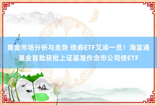 黄金市场分析与走势 债券ETF又添一员！海富通基金首批获批上证基准作念市公司债ETF