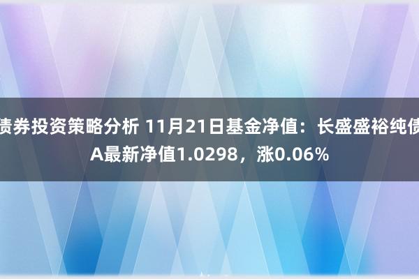 债券投资策略分析 11月21日基金净值：长盛盛裕纯债A最新净值1.0298，涨0.06%