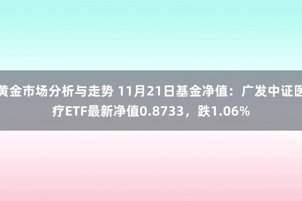 黄金市场分析与走势 11月21日基金净值：广发中证医疗ETF最新净值0.8733，跌1.06%