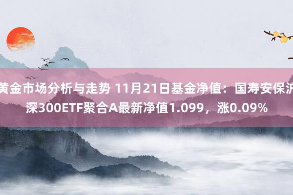 黄金市场分析与走势 11月21日基金净值：国寿安保沪深300ETF聚合A最新净值1.099，涨0.09%