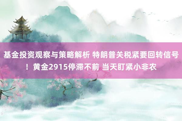 基金投资观察与策略解析 特朗普关税紧要回转信号！黄金2915停滞不前 当天盯紧小非农