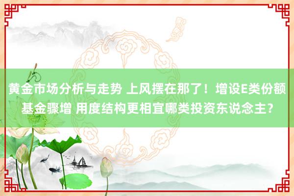 黄金市场分析与走势 上风摆在那了！增设E类份额基金骤增 用度结构更相宜哪类投资东说念主？