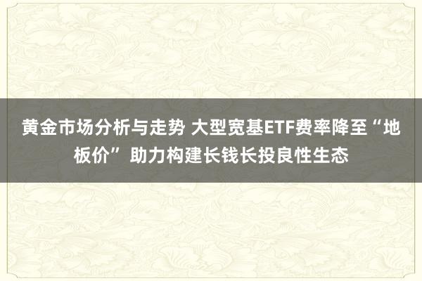 黄金市场分析与走势 大型宽基ETF费率降至“地板价” 助力构建长钱长投良性生态