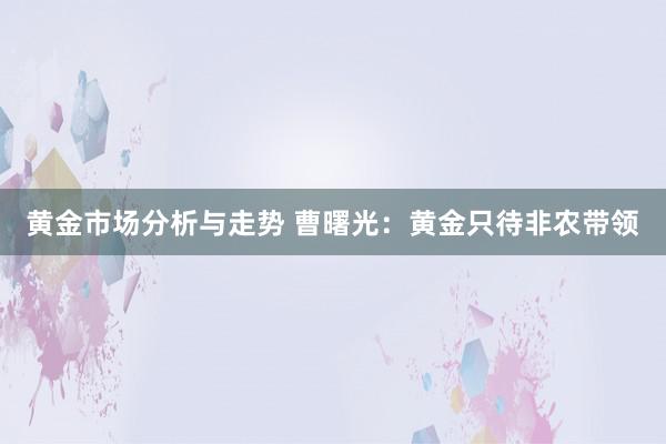 黄金市场分析与走势 曹曙光：黄金只待非农带领