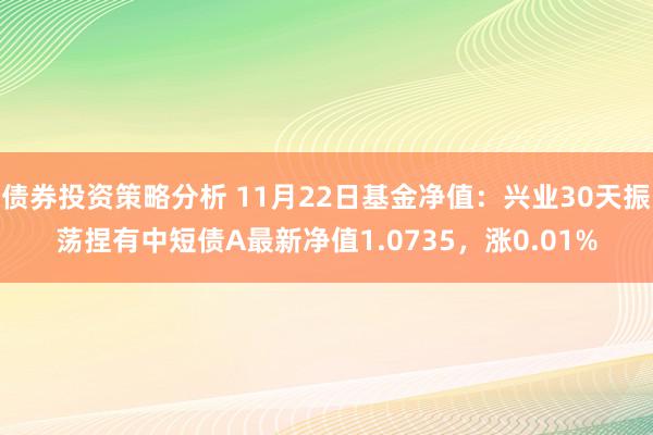 债券投资策略分析 11月22日基金净值：兴业30天振荡捏有中短债A最新净值1.0735，涨0.01%