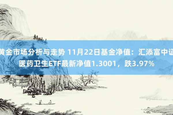 黄金市场分析与走势 11月22日基金净值：汇添富中证医药卫生ETF最新净值1.3001，跌3.97%