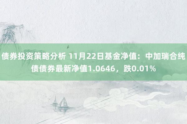 债券投资策略分析 11月22日基金净值：中加瑞合纯债债券最新净值1.0646，跌0.01%