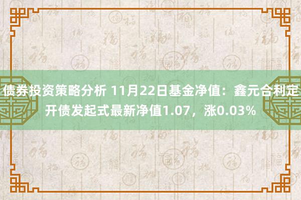 债券投资策略分析 11月22日基金净值：鑫元合利定开债发起式最新净值1.07，涨0.03%