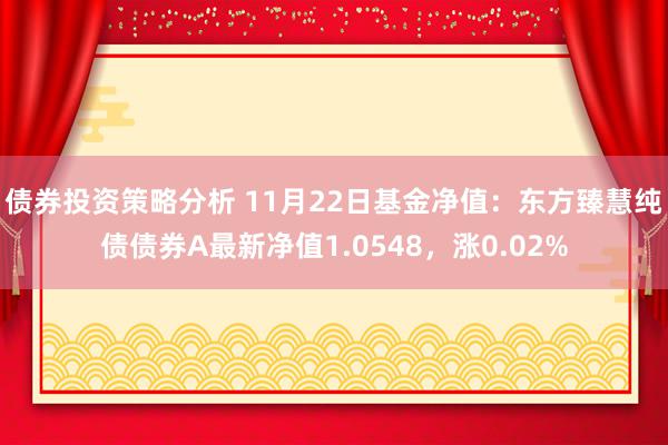 债券投资策略分析 11月22日基金净值：东方臻慧纯债债券A最新净值1.0548，涨0.02%