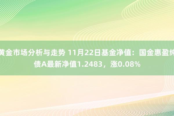 黄金市场分析与走势 11月22日基金净值：国金惠盈纯债A最新净值1.2483，涨0.08%