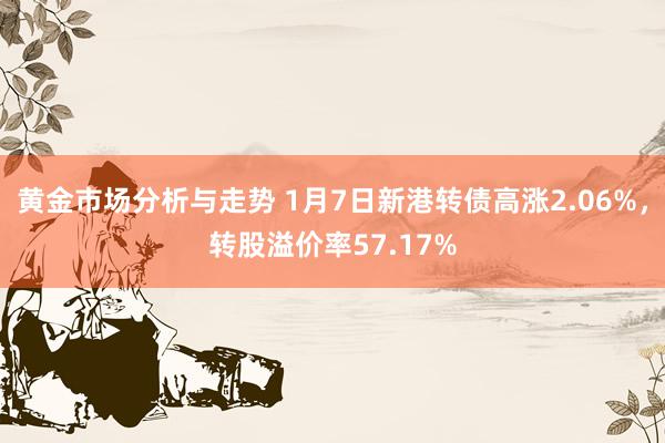 黄金市场分析与走势 1月7日新港转债高涨2.06%，转股溢价率57.17%