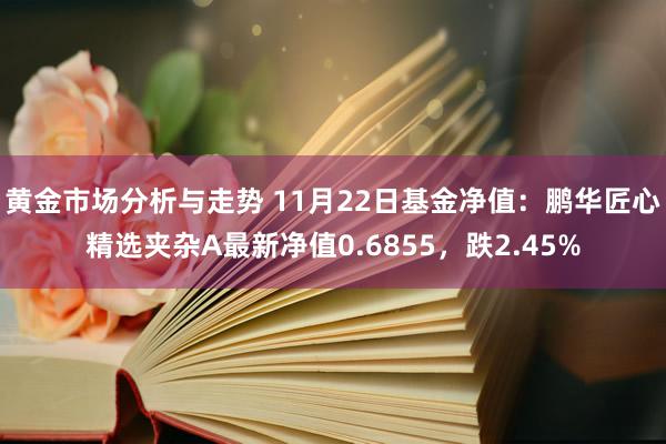 黄金市场分析与走势 11月22日基金净值：鹏华匠心精选夹杂A最新净值0.6855，跌2.45%