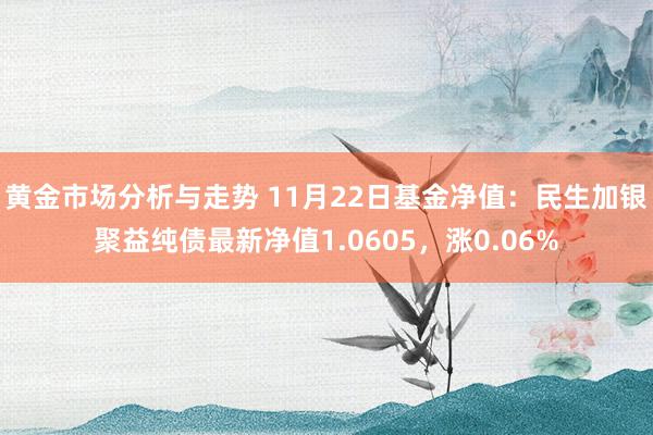 黄金市场分析与走势 11月22日基金净值：民生加银聚益纯债最新净值1.0605，涨0.06%