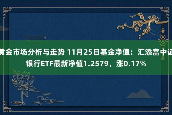 黄金市场分析与走势 11月25日基金净值：汇添富中证银行ETF最新净值1.2579，涨0.17%