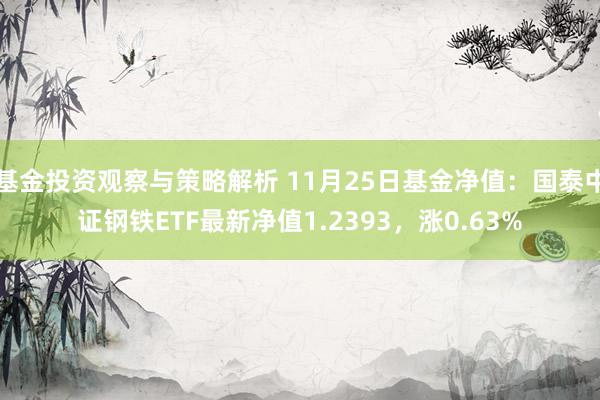 基金投资观察与策略解析 11月25日基金净值：国泰中证钢铁ETF最新净值1.2393，涨0.63%