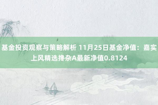 基金投资观察与策略解析 11月25日基金净值：嘉实上风精选搀杂A最新净值0.8124