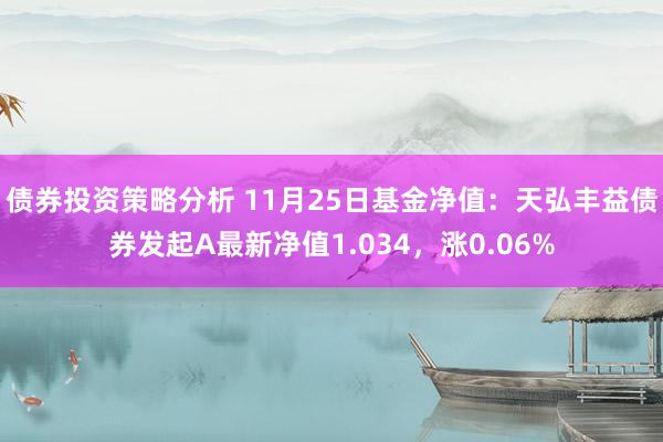 债券投资策略分析 11月25日基金净值：天弘丰益债券发起A最新净值1.034，涨0.06%