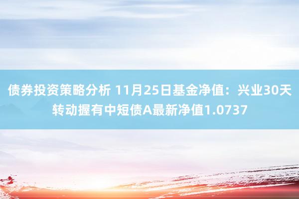 债券投资策略分析 11月25日基金净值：兴业30天转动握有中短债A最新净值1.0737